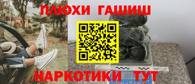 сатива Новозыбков
